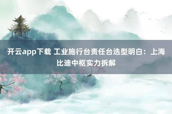 开云app下载 工业施行台责任台选型明白：上海比迪中枢实力拆解