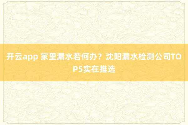开云app 家里漏水若何办？沈阳漏水检测公司TOP5实在推选