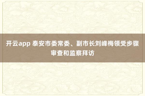 开云app 泰安市委常委、副市长刘峰梅领受步骤审查和监察拜访