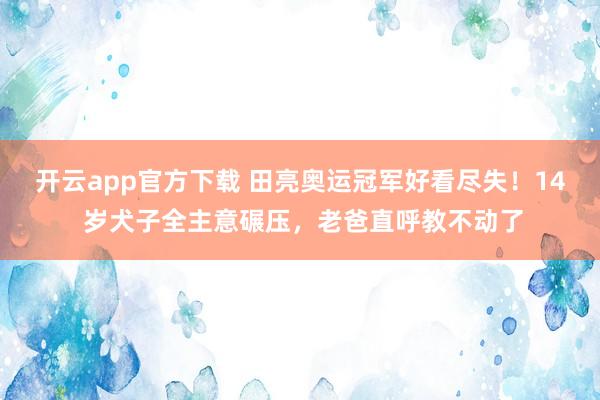 开云app官方下载 田亮奥运冠军好看尽失！14 岁犬子全主意碾压，老爸直呼教不动了